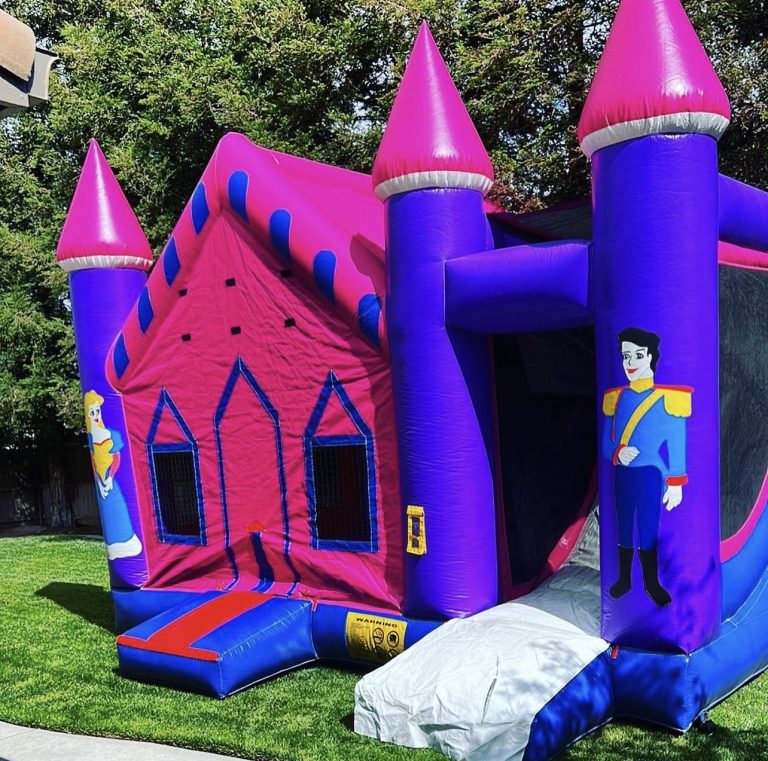 Bounce House Combos castle